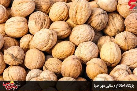 توقیف گردو خارجی قاچاق در میانه