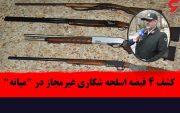 کشف ۴ قبضه اسلحه شکاری غیر مجاز در میانه